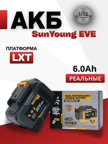Аккумулятор SunYoung LXT 6,0 Ач, EVE